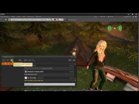 second life gameplay
