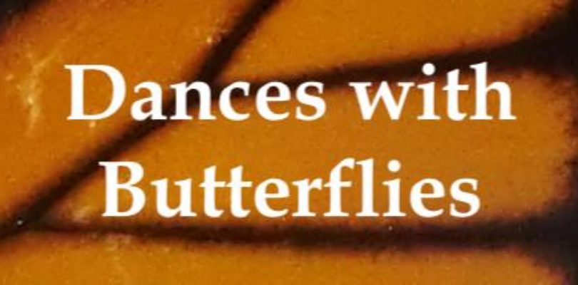 Free Dances with Butterflies VR on Steam