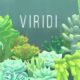 Free Viridi on Steam