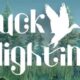 Duck Flighting Steam keys giveaway [ENDED]