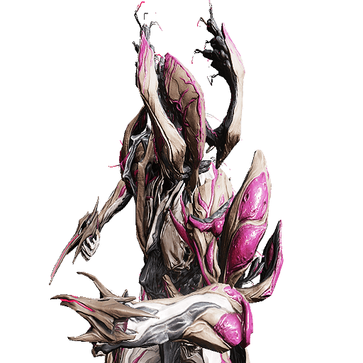 NIDUS 